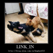 link_in