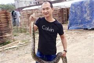 漳州村民徒手抓获20多斤蟒蛇